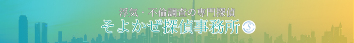 そよかぜ探偵事務所のLPの詳細